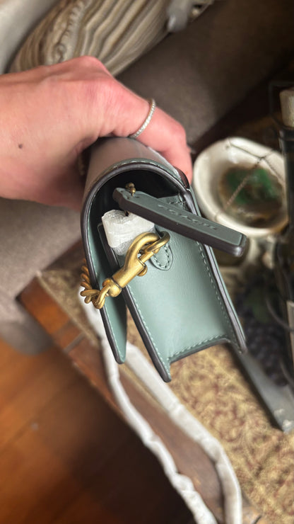 Coach 1941 Mint Calf Leather Chain Crossbody