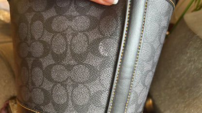 Coach Celestial Cat Bucket Shoulder Bag
