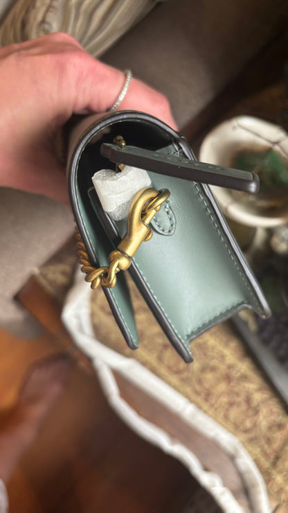 Coach 1941 Mint Calf Leather Chain Crossbody