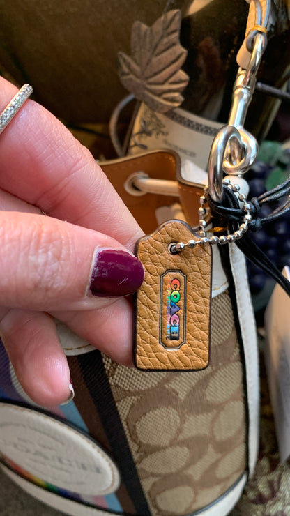 Coach Rainbow Signature Drawstring Crossbody